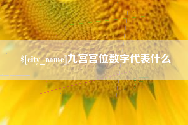 天津九宫宫位数字代表什么