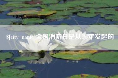 天津全国消防日是从哪年发起的