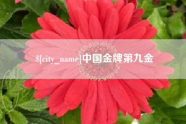 天津中国金牌第九金
