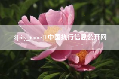 天津1.中国执行信息公开网