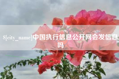 天津中国执行信息公开网会发信息吗