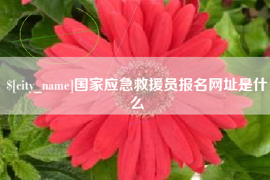 天津国家应急救援员报名网址是什么