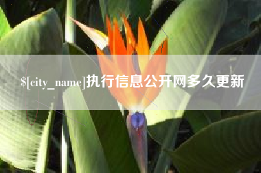 天津执行信息公开网多久更新