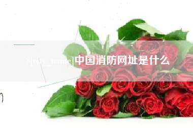天津中国消防网址是什么