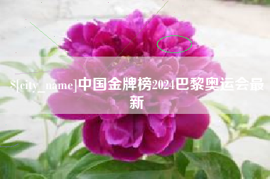 天津中国金牌榜2024巴黎奥运会最新