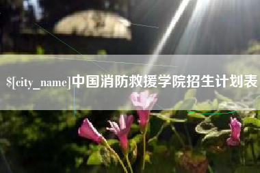 天津中国消防救援学院招生计划表