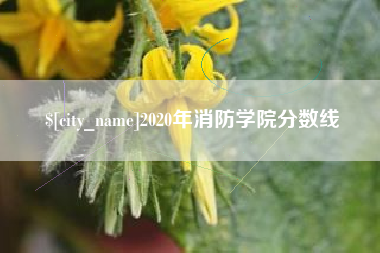 天津2020年消防学院分数线
