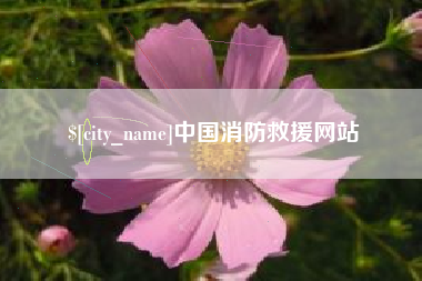 天津中国消防救援网站