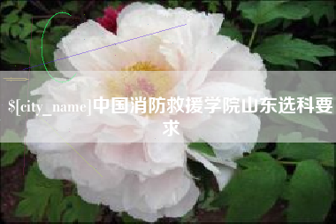 天津中国消防救援学院山东选科要求