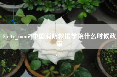 天津中国消防救援学院什么时候政审