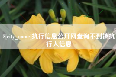 天津执行信息公开网查询不到被执行人信息