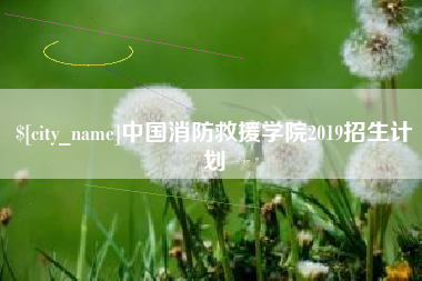 天津中国消防救援学院2019招生计划