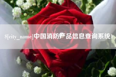 天津中国消防产品信息查询系统1