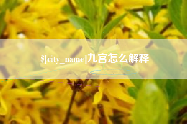 天津九宫怎么解释