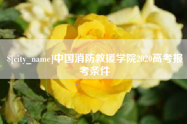 天津中国消防救援学院2020高考报考条件