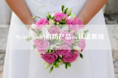 天津消防产品ccc认证查询