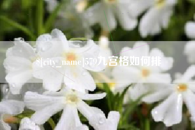 天津579九宫格如何排