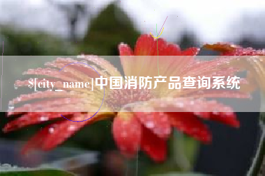 天津中国消防产品查询系统