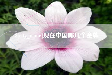 天津现在中国哪几个金牌