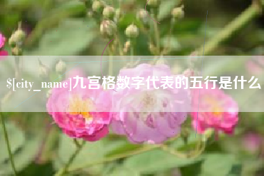 天津九宫格数字代表的五行是什么