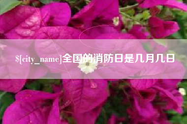 天津全国的消防日是几月几日