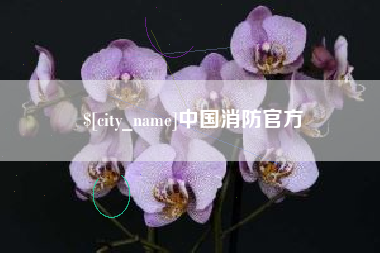 天津中国消防官方