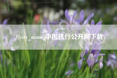 天津中国执行公开网下载