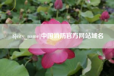 天津中国消防官方网站域名