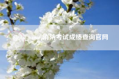 天津消防考试成绩查询官网