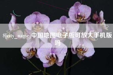 天津中国地图电子版可放大手机版吗