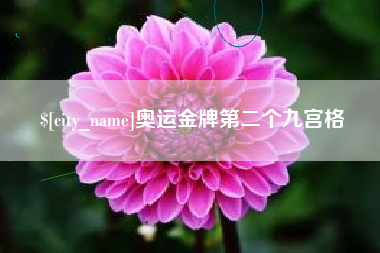 天津奥运金牌第二个九宫格