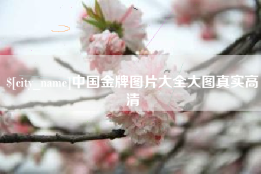 天津中国金牌图片大全大图真实高清