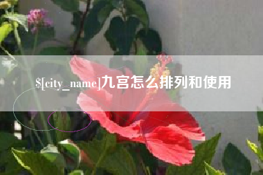 天津九宫怎么排列和使用