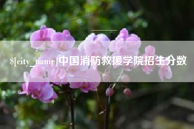 天津中国消防救援学院招生分数