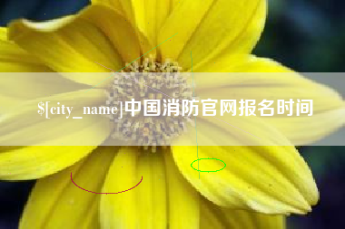 天津中国消防官网报名时间