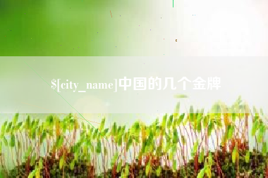 天津中国的几个金牌