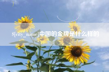 天津中国的金牌是什么样的
