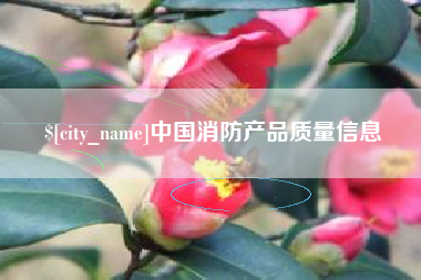天津中国消防产品质量信息