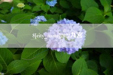 天津2022九宫
