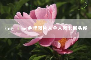 天津金牌图片大全大图卡通头像