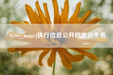 天津执行信息公开网查询免费